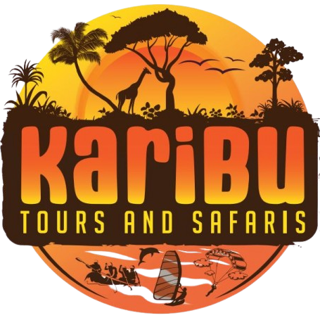 Karibu Tours and Safari | 